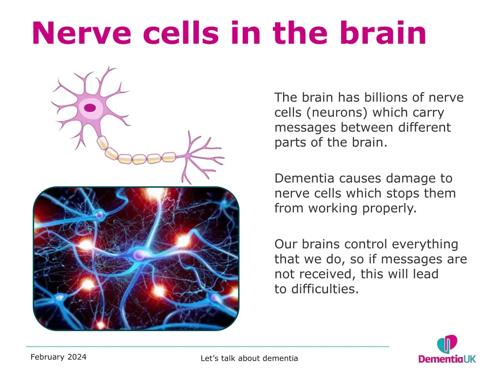 nerve cells in the brain