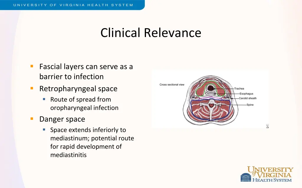 clinical relevance