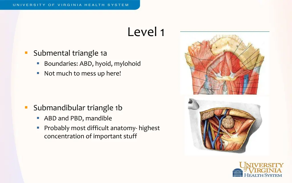 level 1