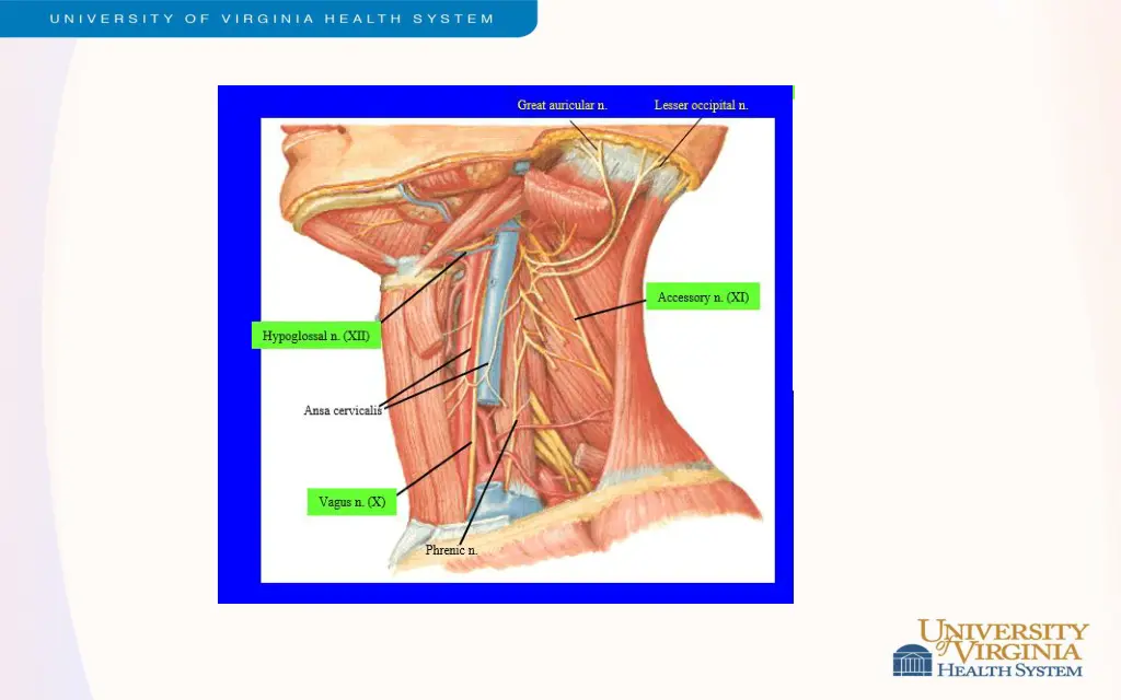 slide19