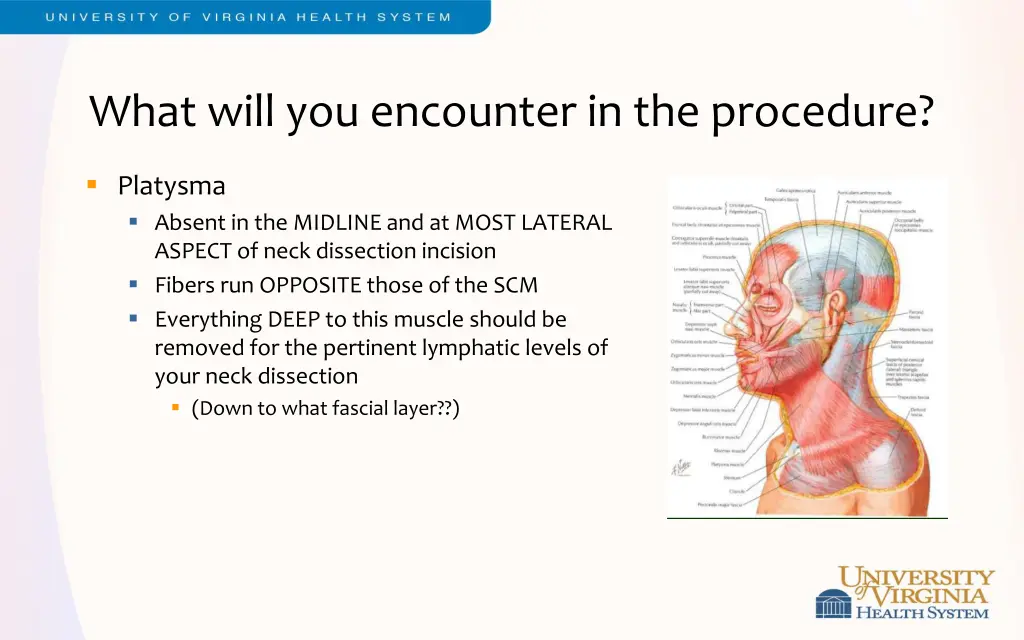 what will you encounter in the procedure