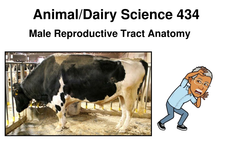 animal dairy science 434