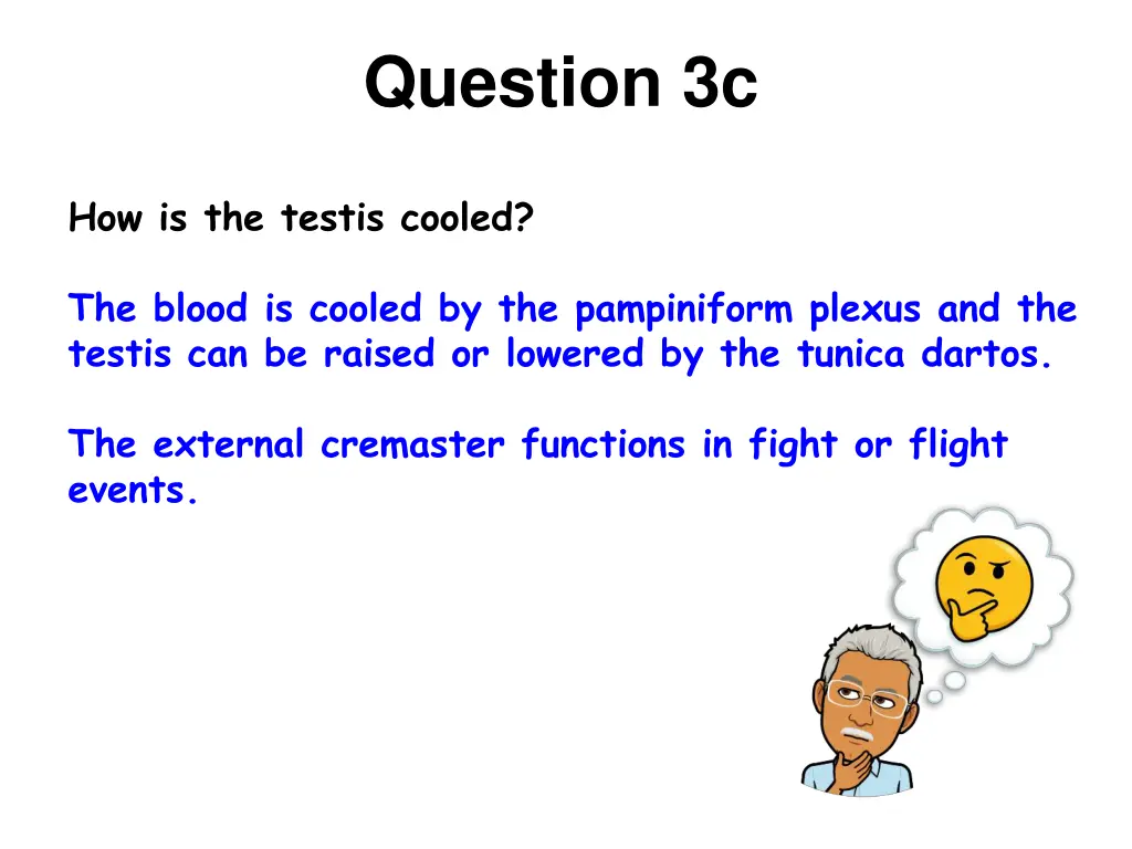 question 3c 1