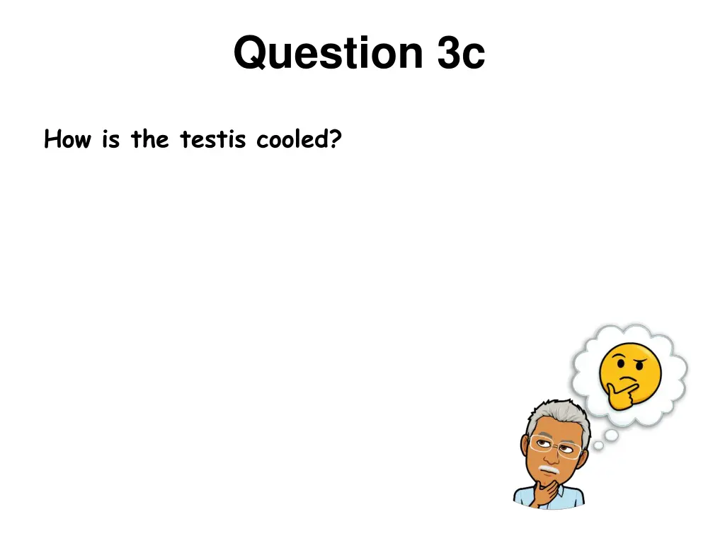 question 3c