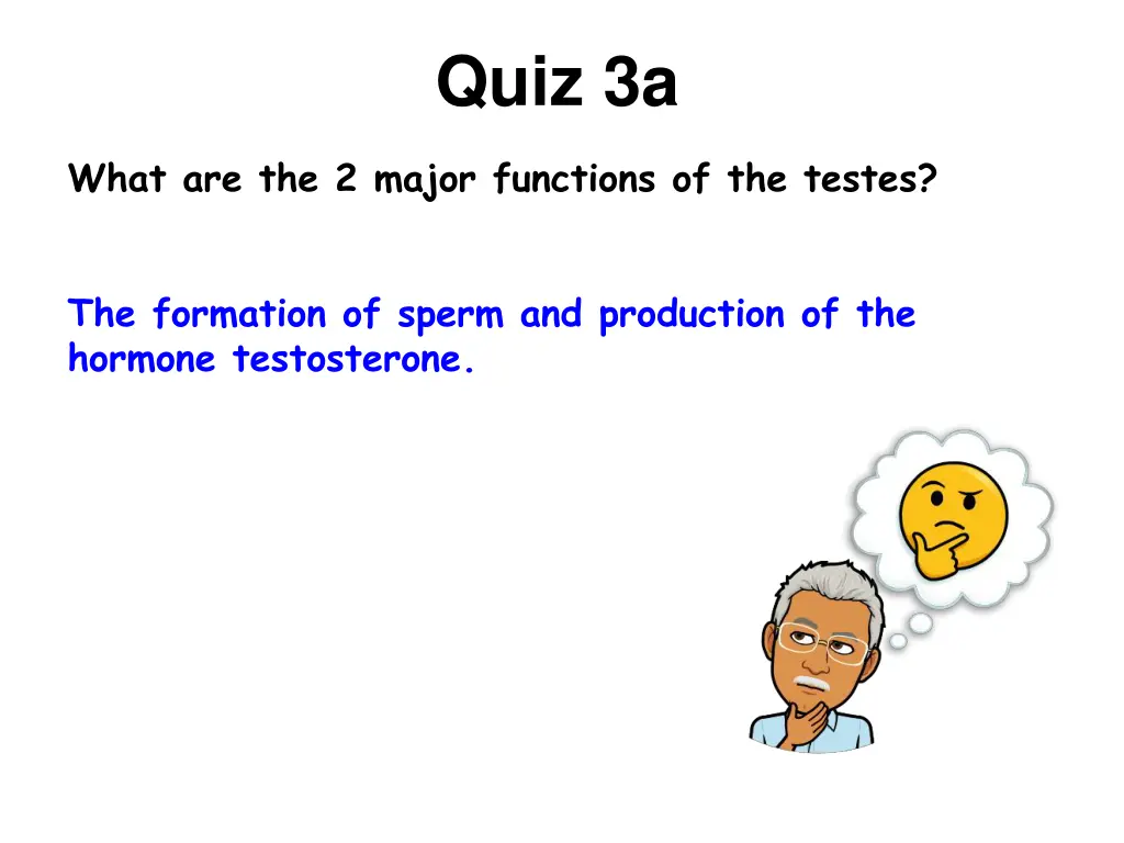 quiz 3a 1