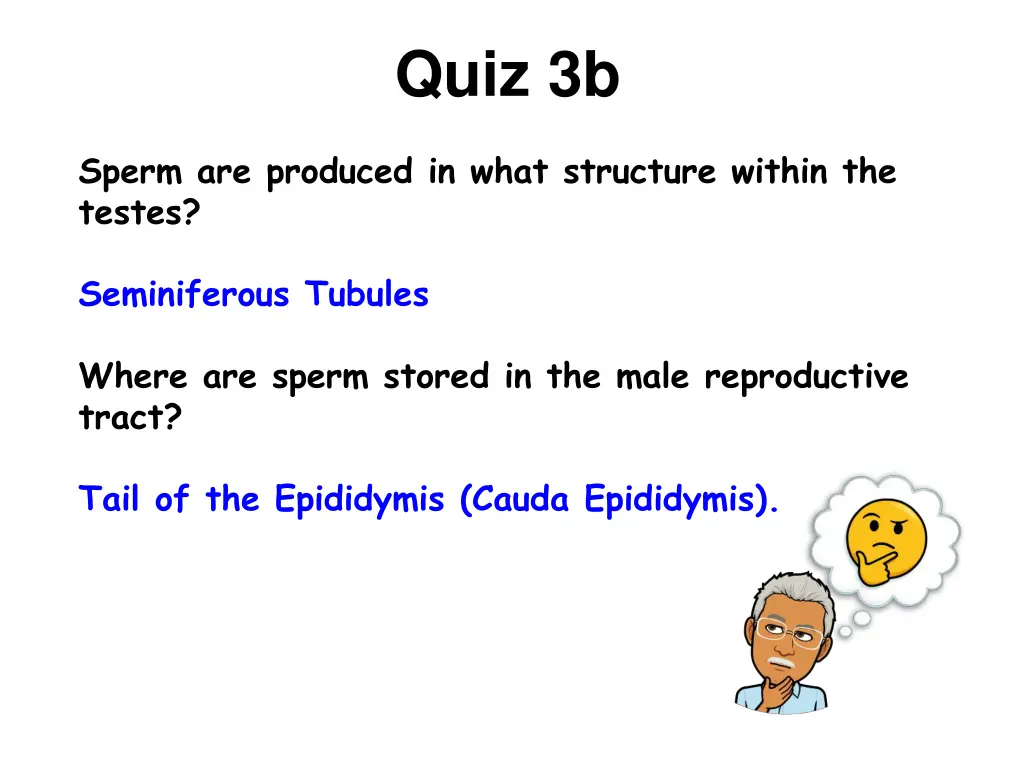 quiz 3b 1