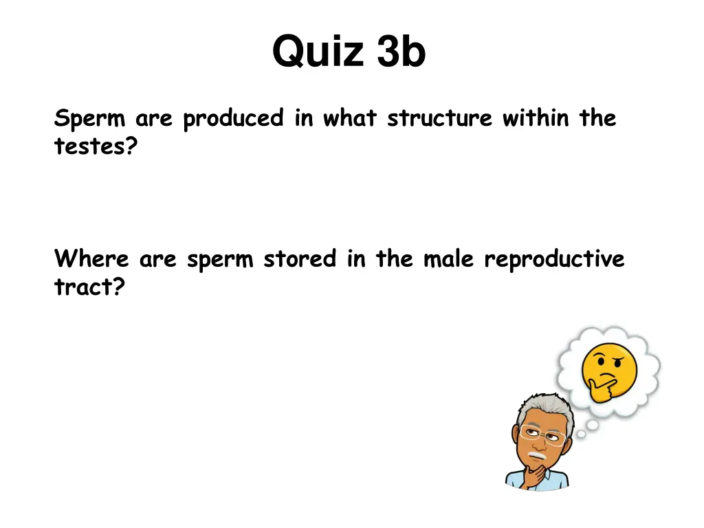 quiz 3b