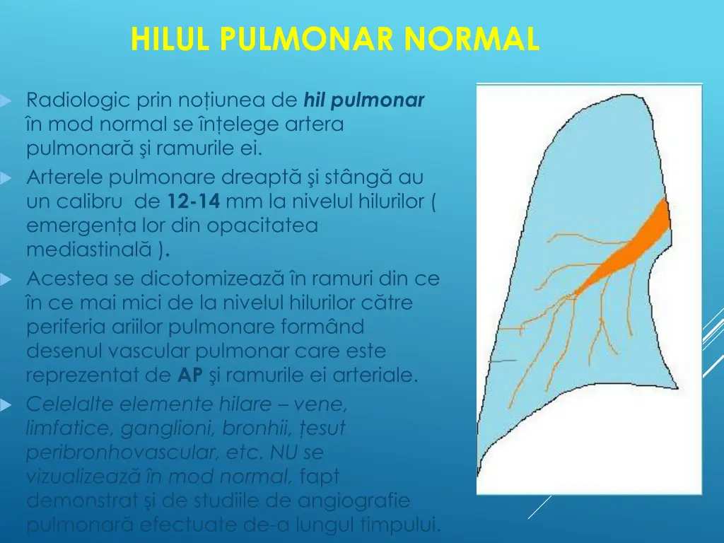 hilul pulmonar normal