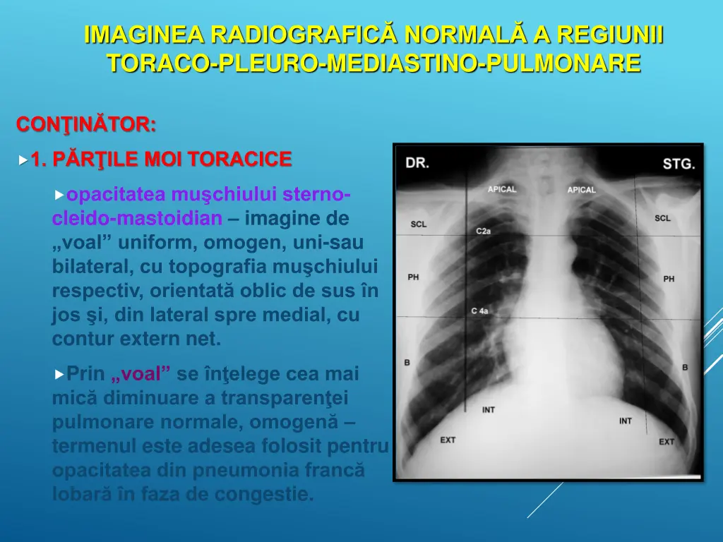 imaginea radiografic normal a regiunii toraco 2