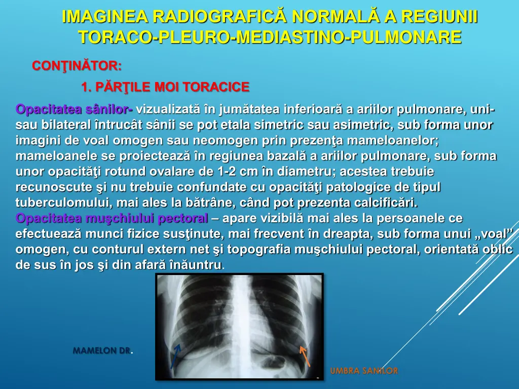 imaginea radiografic normal a regiunii toraco 4