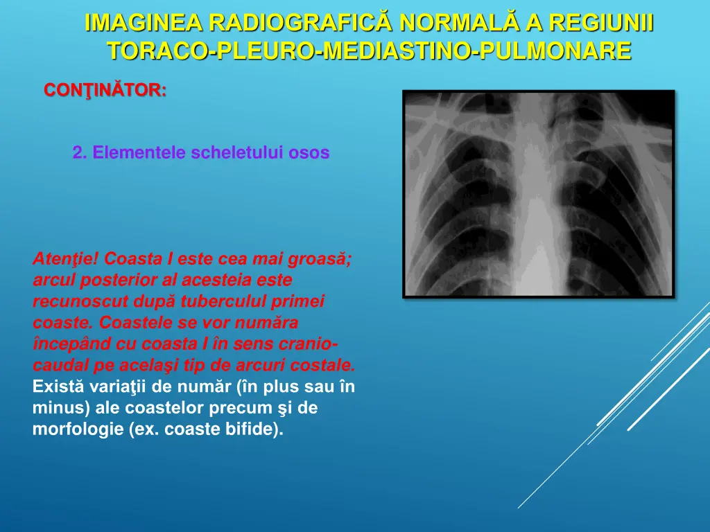 imaginea radiografic normal a regiunii toraco 7