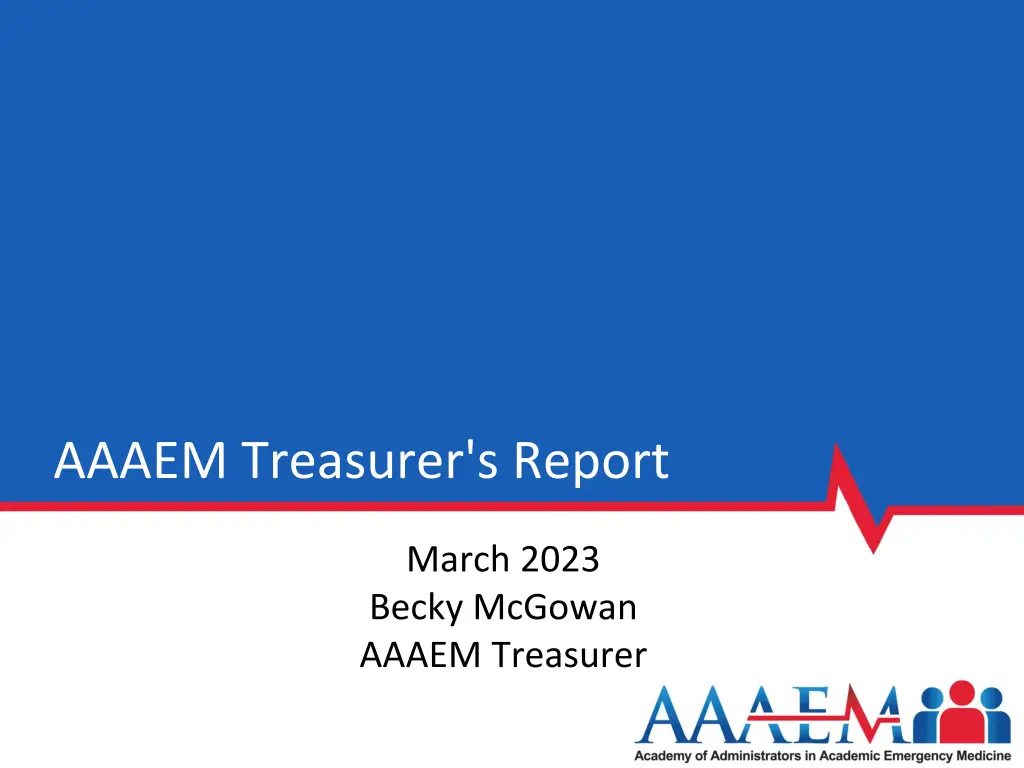 aaaem treasurer s report