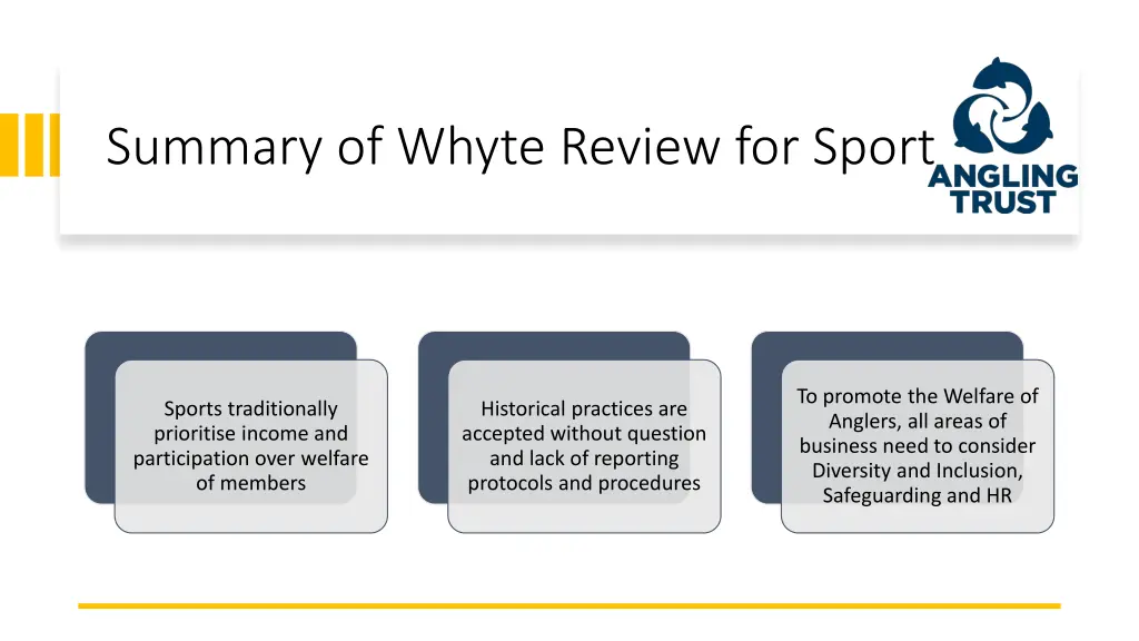 summary of whyte review for sport