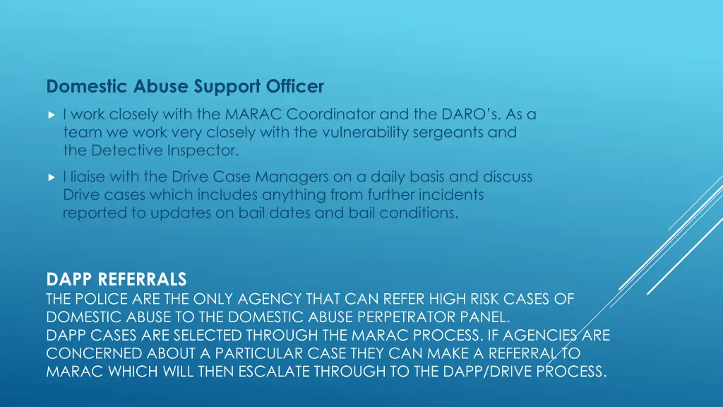 domestic abuse support officer