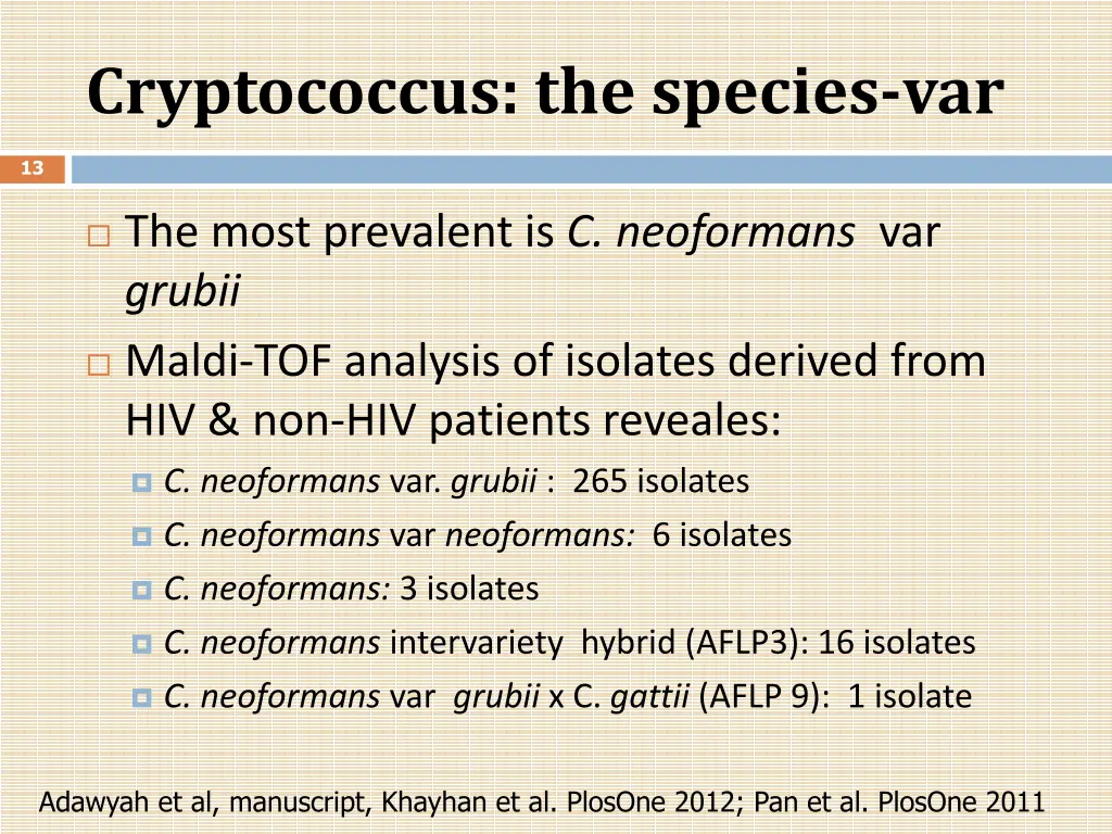 cryptococcus the species var