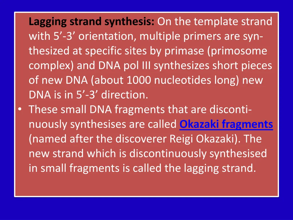 lagging strand synthesis on the template strand