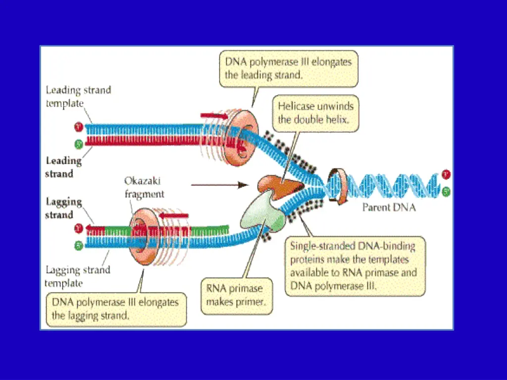 slide21