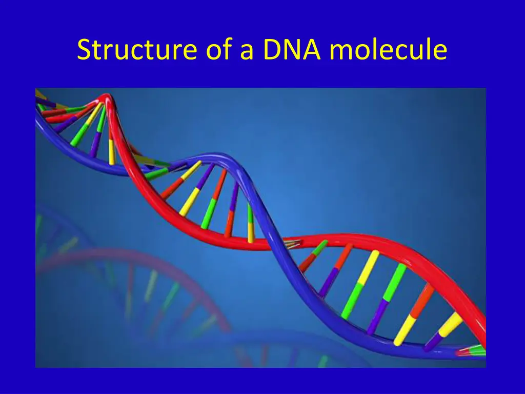 structure of a dna molecule