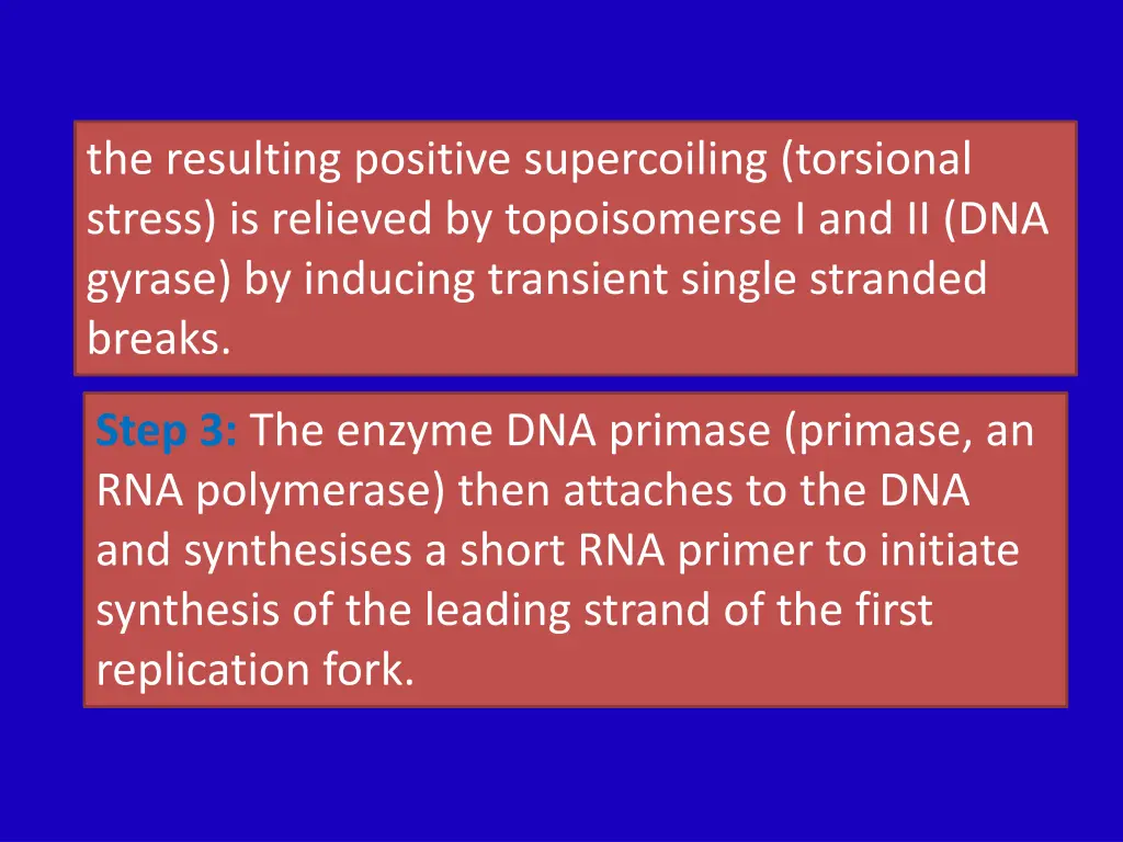 the resulting positive supercoiling torsional