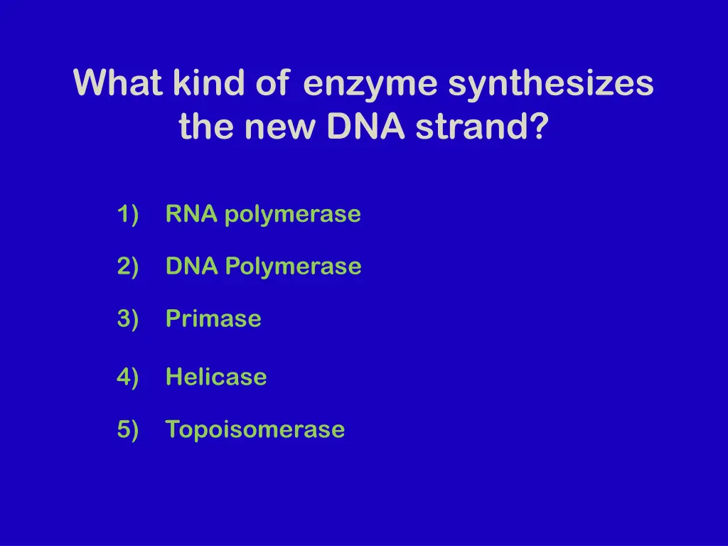 what kind of enzyme synthesizes the new dna strand