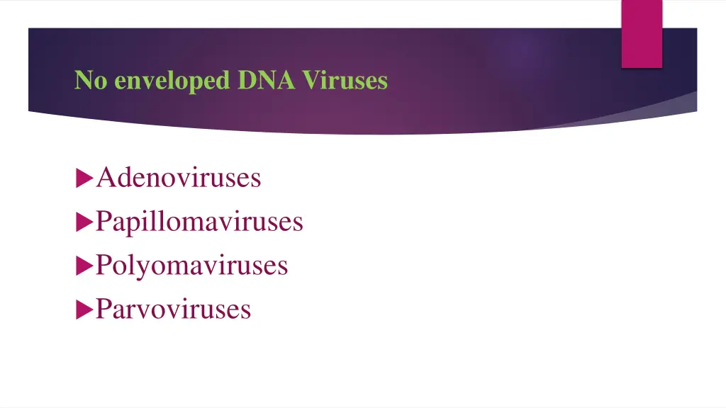 no enveloped dna viruses 1