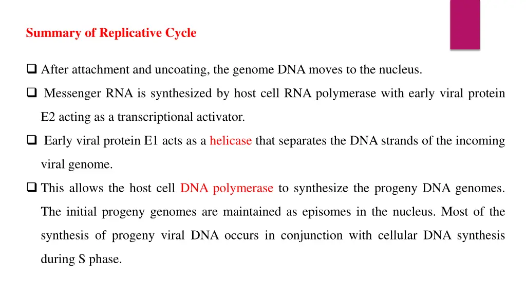 summary of replicative cycle