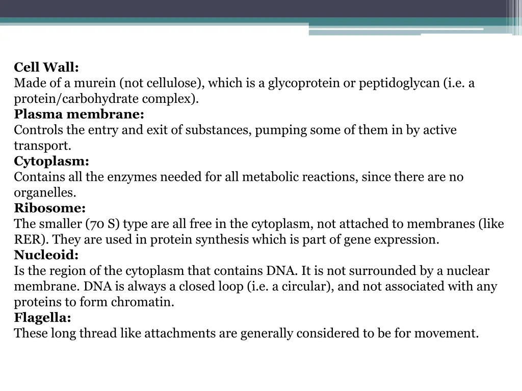 cell wall made of a murein not cellulose which