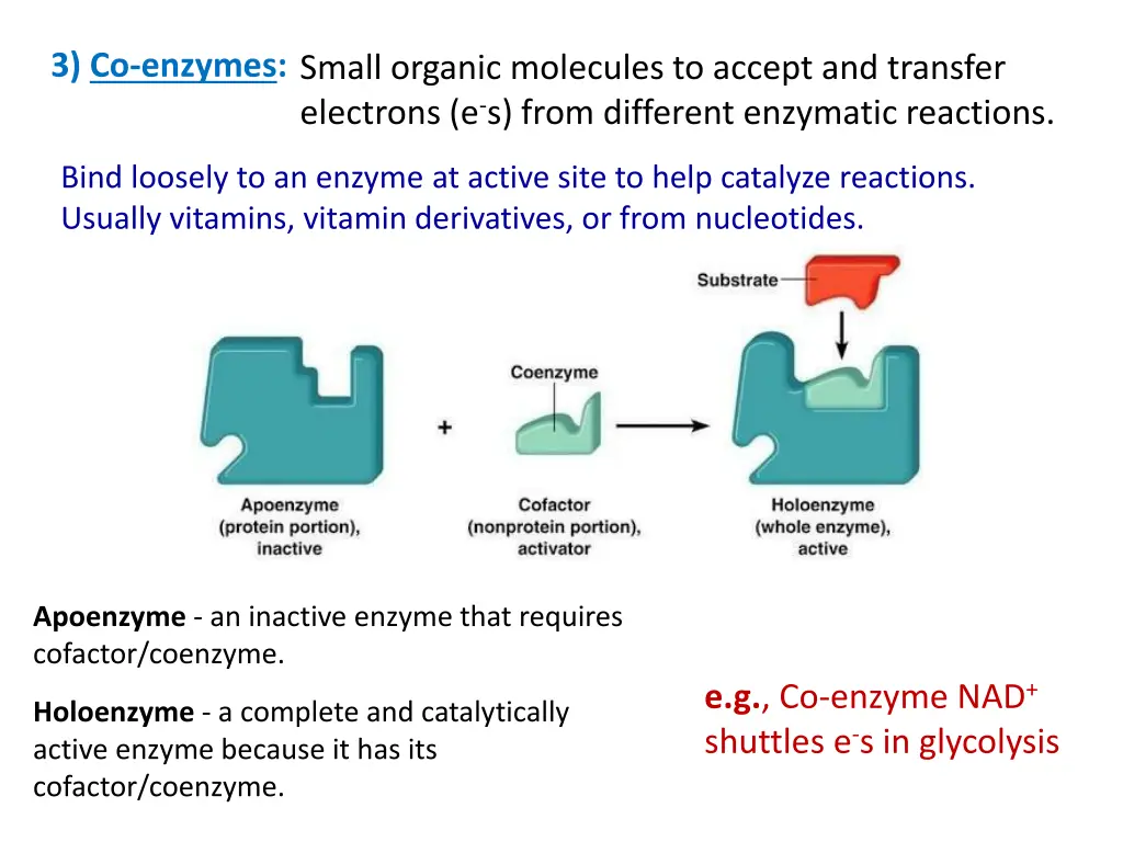 3 co enzymes small organic molecules to accept