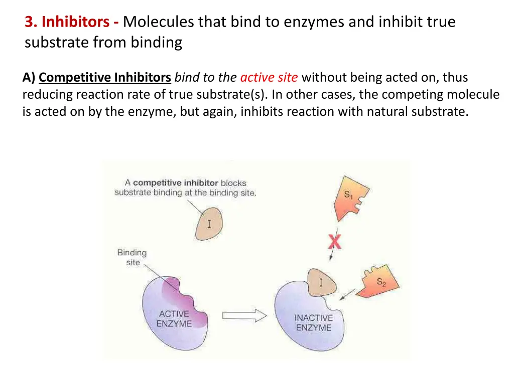 3 inhibitors molecules that bind to enzymes