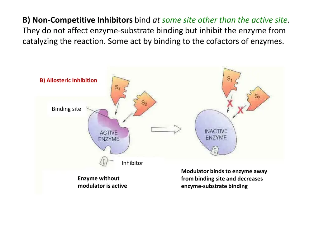 b non competitive inhibitors bind at some site