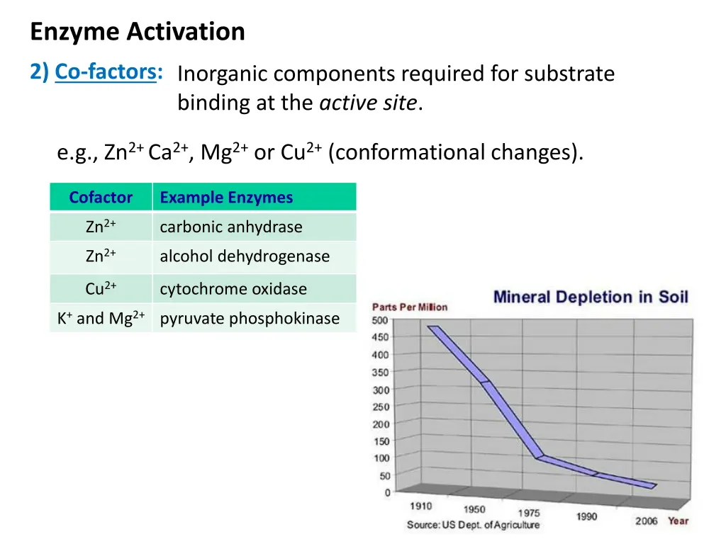 enzyme activation