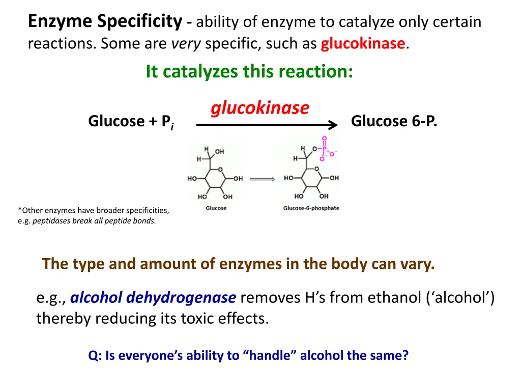 enzyme specificity ability of enzyme to catalyze