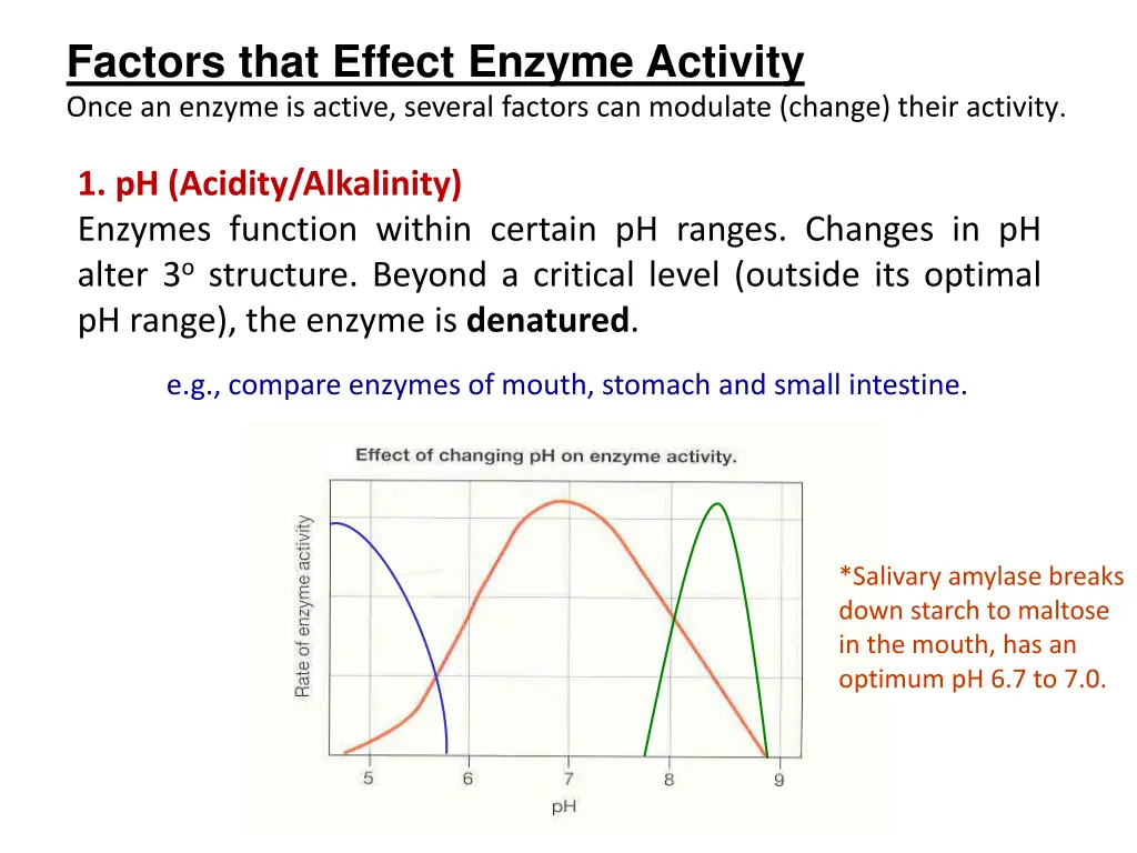 factors that effect enzyme activity once