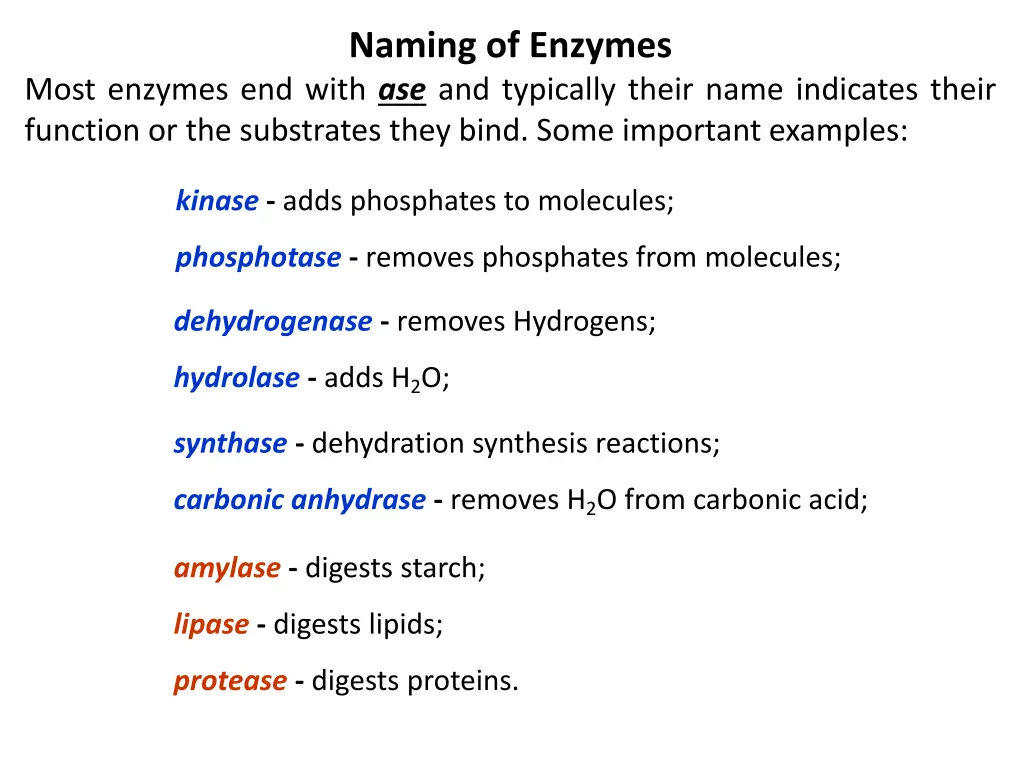 naming of enzymes