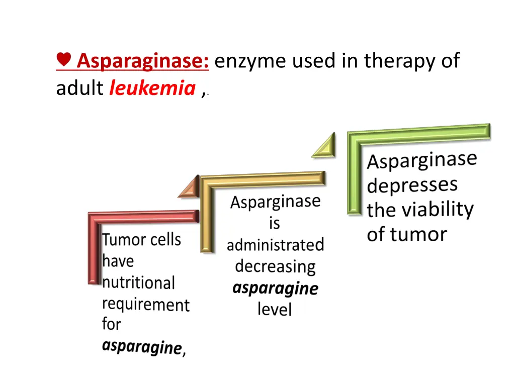 asparaginase enzyme used in therapy of adult