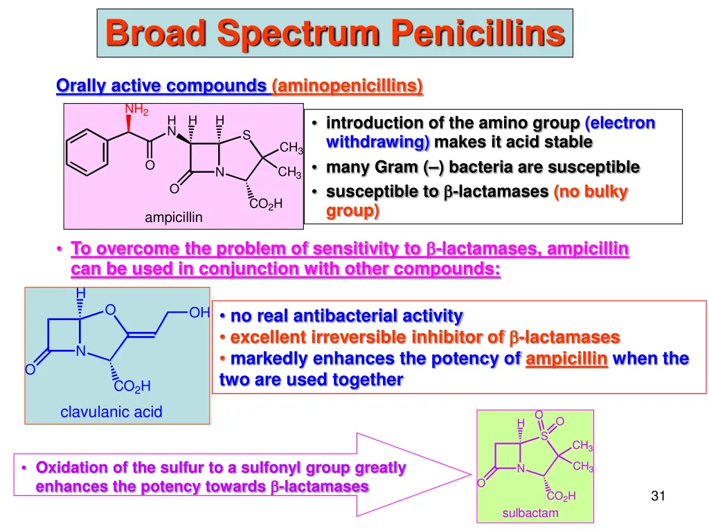 broad spectrum penicillins