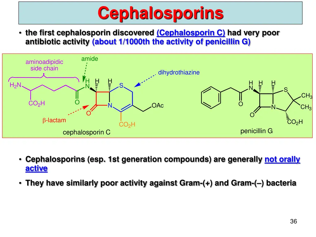 cephalosporins 1