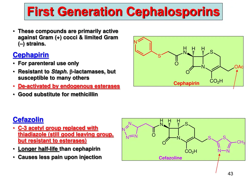 first generation cephalosporins