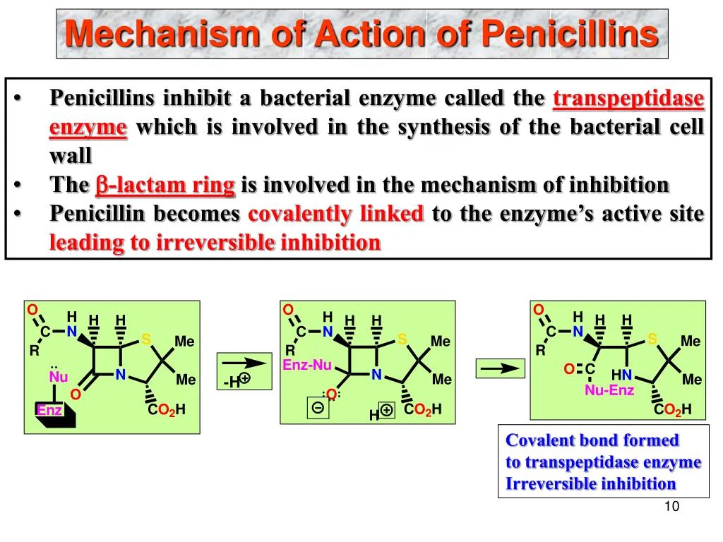 mechanism of action of penicillins