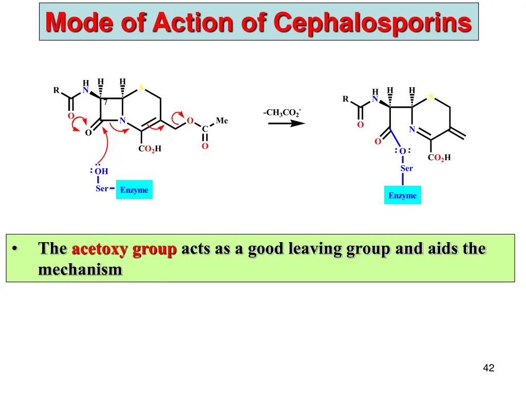 mode of action of cephalosporins 1
