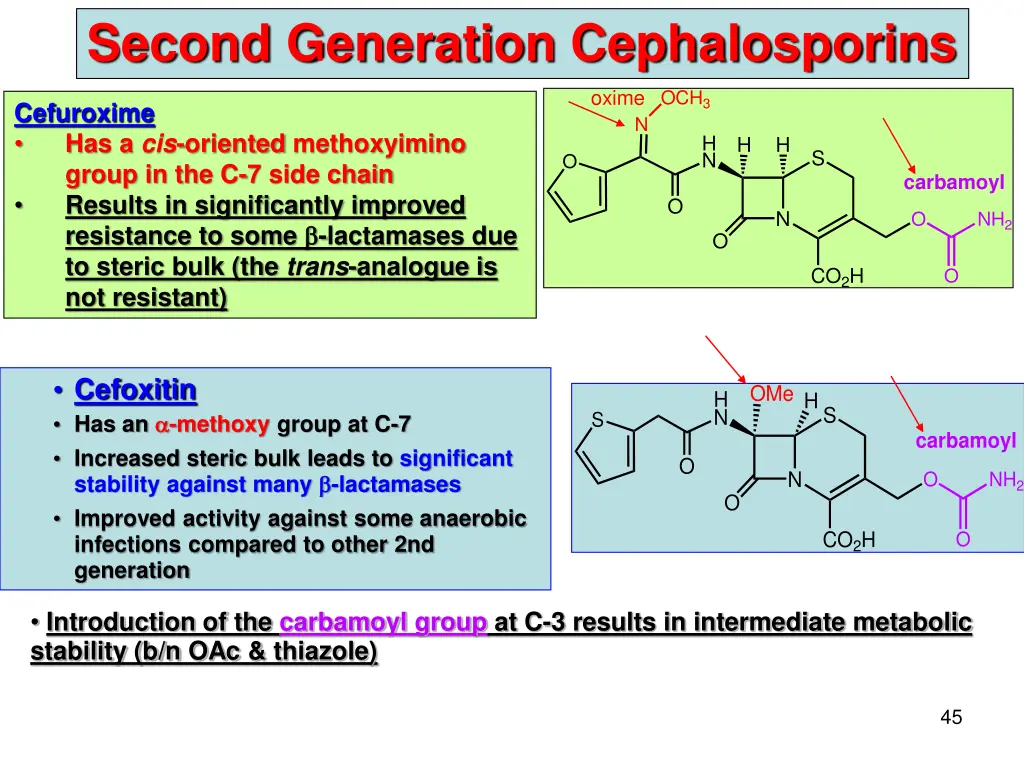 second generation cephalosporins