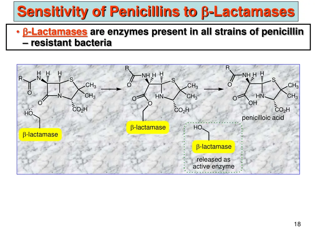 sensitivity of penicillins to lactamases