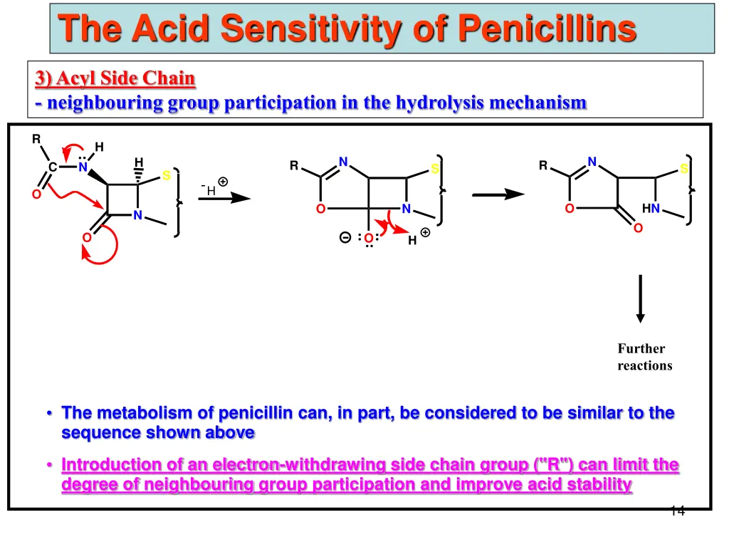 the acid sensitivity of penicillins 1