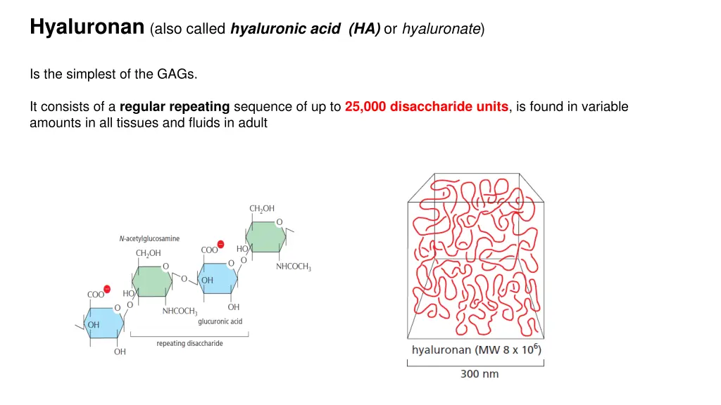 hyaluronan also called hyaluronic acid