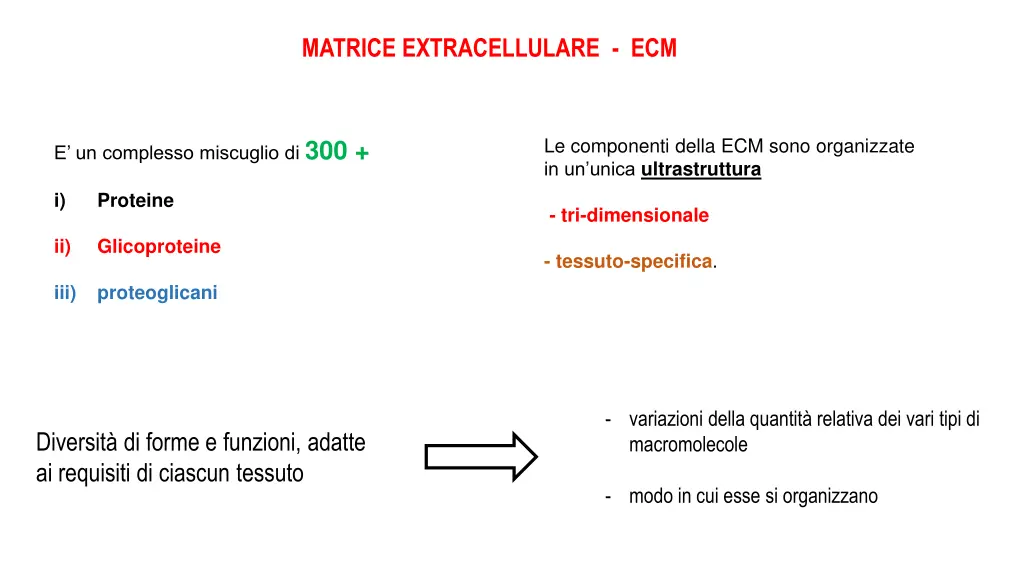 matrice extracellulare ecm 1