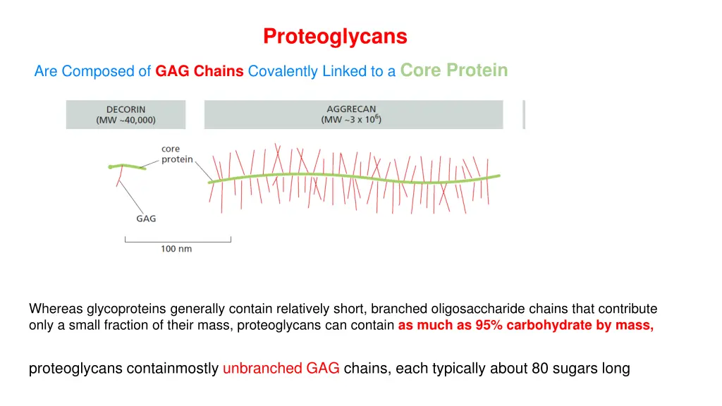 proteoglycans