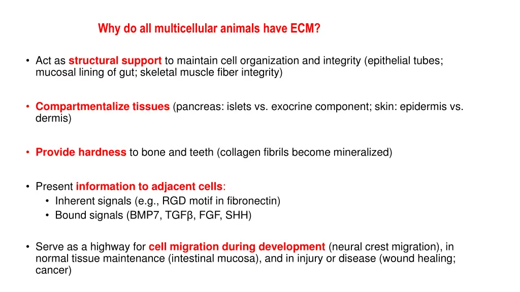 why do all multicellular animals have ecm
