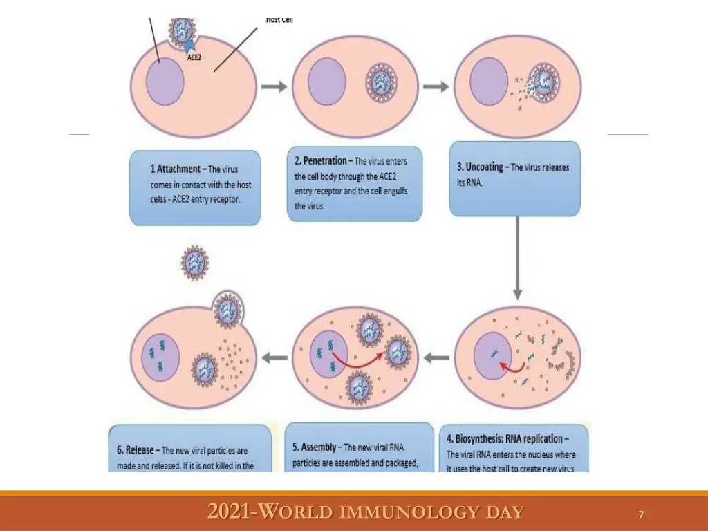 2021 w orld immunology day