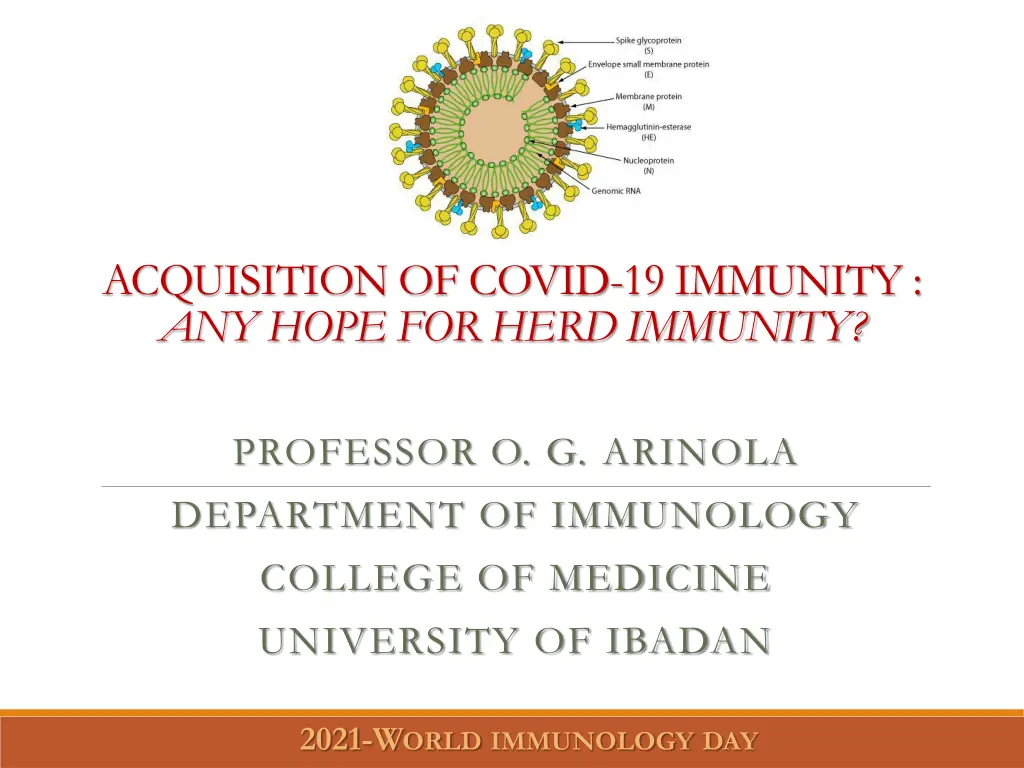 acquisition of covid 19 immunity any hope