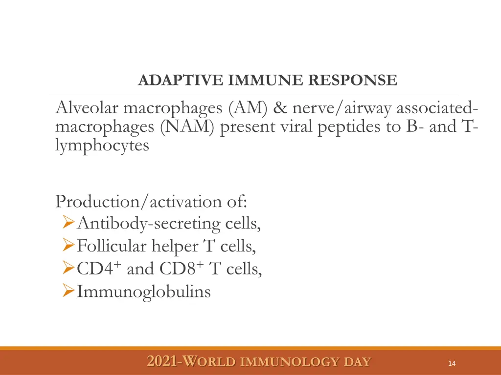 adaptive immune response alveolar macrophages